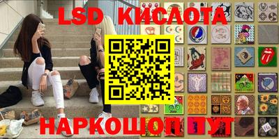 сатива Аргун
