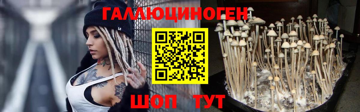 Псилоцибиновые грибы Magic Shrooms  Галлюциногенные грибы GOLDEN TEACHER  Асбест  Вход с VPN 